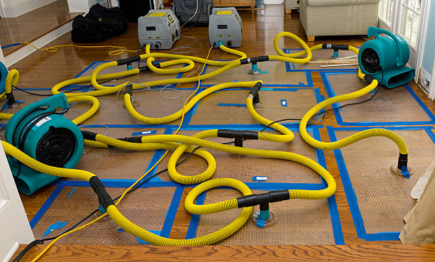Professional Storm Water Damage Restoration technician working in Sumas, WA